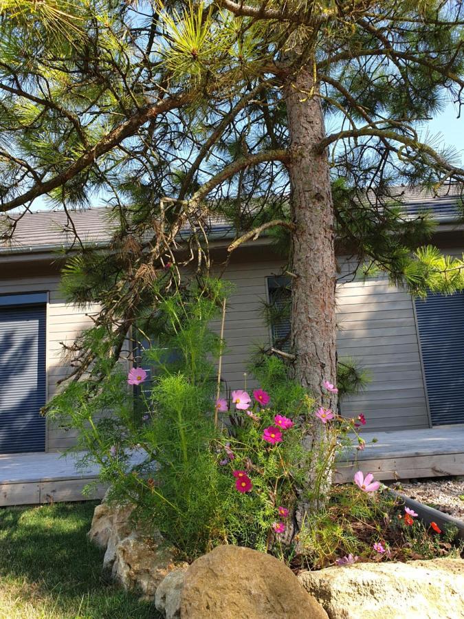 Cosy Wood House Bed & Breakfast Laubressel Екстериор снимка